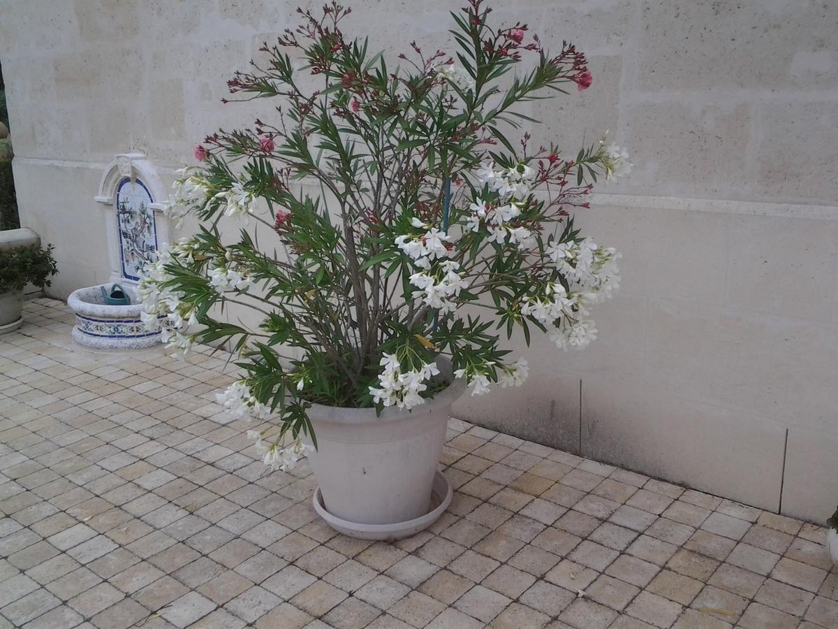Le Moulin Bed and Breakfast Pontoise-les-Noyon Εξωτερικό φωτογραφία